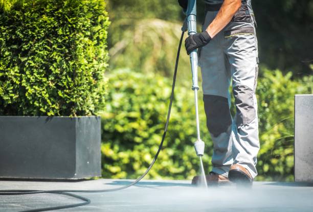 Best Roof Washing  in Menands, NY
