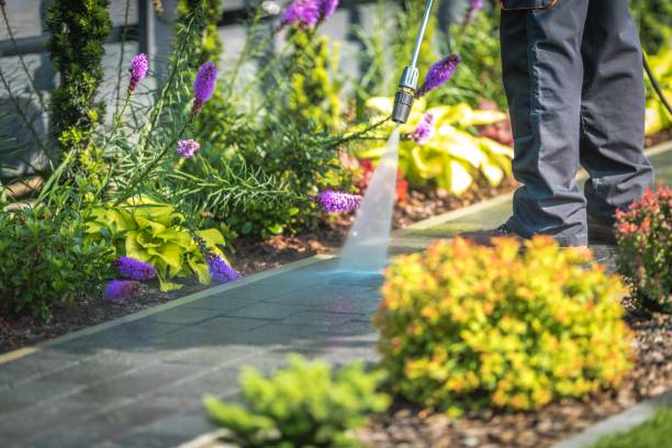 Reliable Menands, NY Pressure Washing Solutions